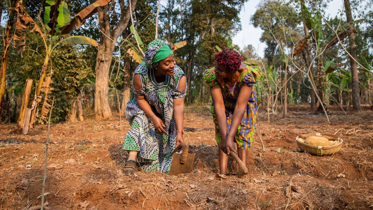 Farmers preparing land in rural Tanzania